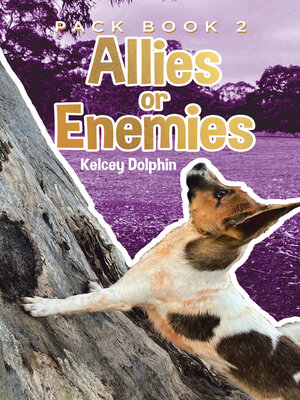 cover image of Allies or Enemies